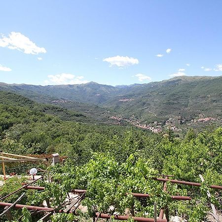 Agriturismo Nonni Devia Lucinasco Exteriör bild